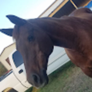 Meet your Posher, Kelsey